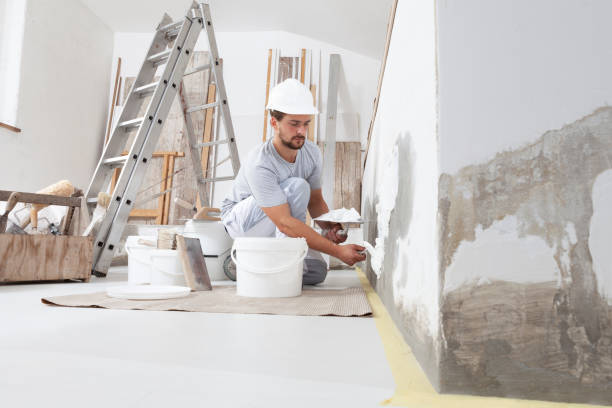 Best Crawl Space Mold Remediation  in Stanley, WI