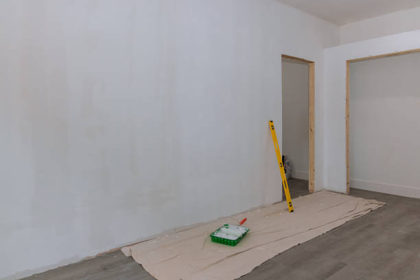 Best Asbestos and Lead Testing During Mold Inspection  in Stanley, WI