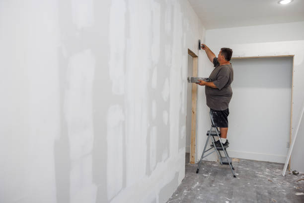 Best Mold Odor Removal Services  in Stanley, WI