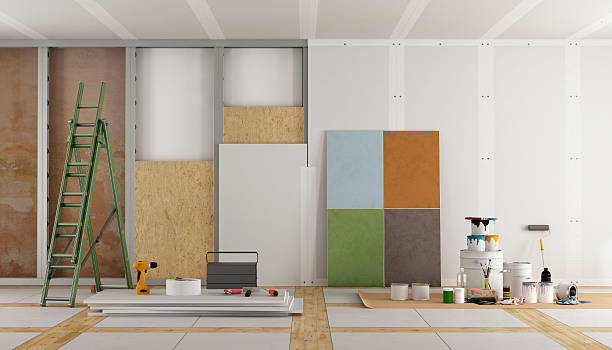 Best Basement Mold Removal  in Stanley, WI