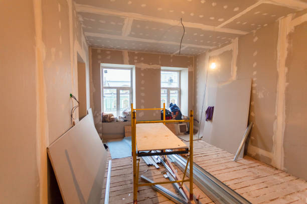 Best Crawl Space Mold Remediation  in Stanley, WI